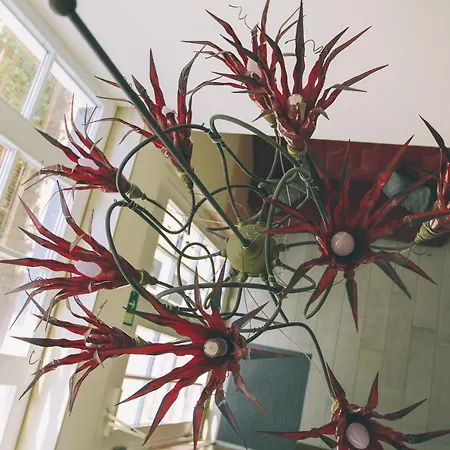 Villa-senta-apartment-2 Appartamento Ostseebad Kühlungsborn